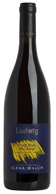 Pinot Nero Ludwig 2020 Elena Walch Alto-Adige - Italy Red G01