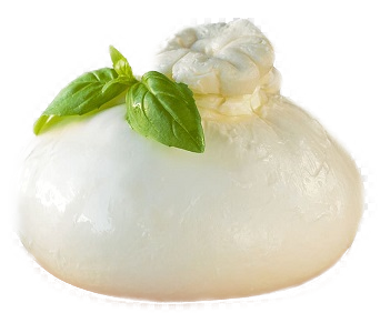 Burrata Italian Cheese